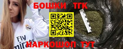 гидра Моздок