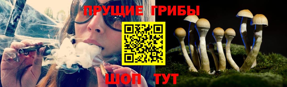 Псилоцибиновые грибы прущие грибы  Вход с VPN  Владикавказ 
